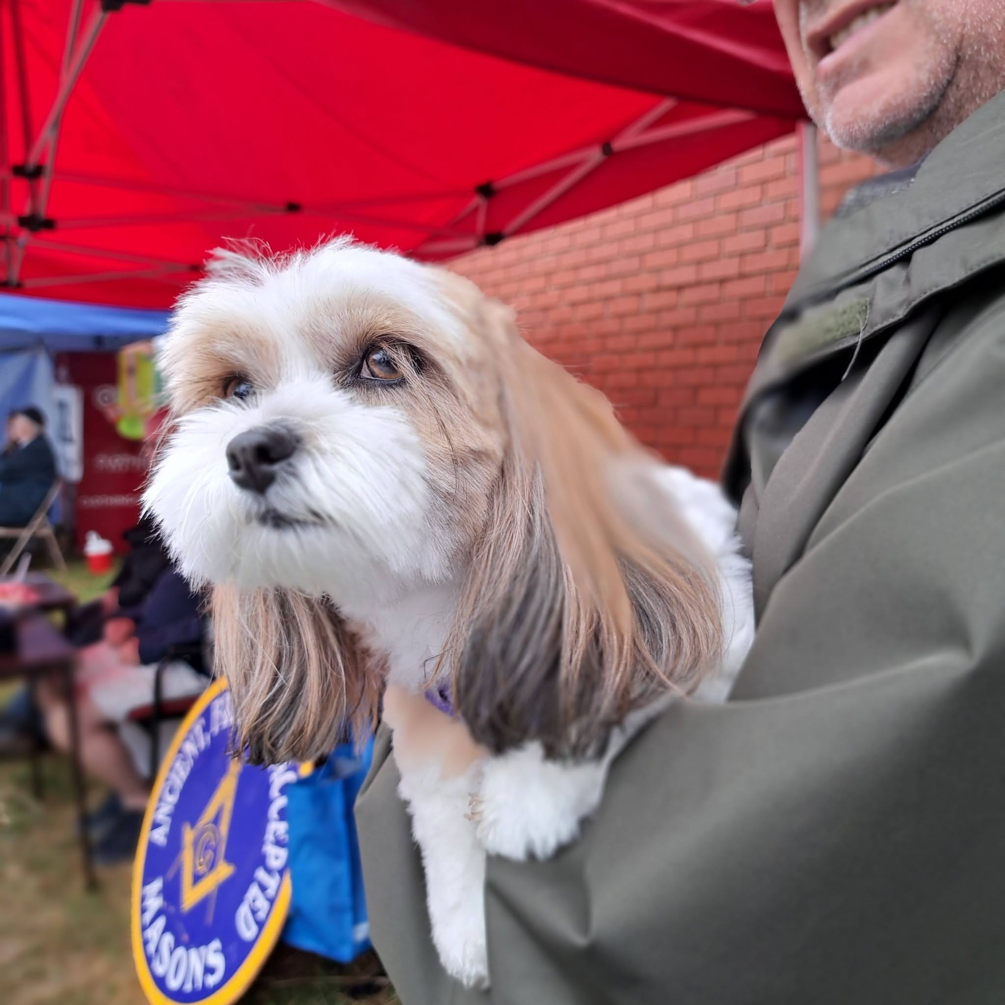 Small white-and-tan dog held at a Pet Projects community event